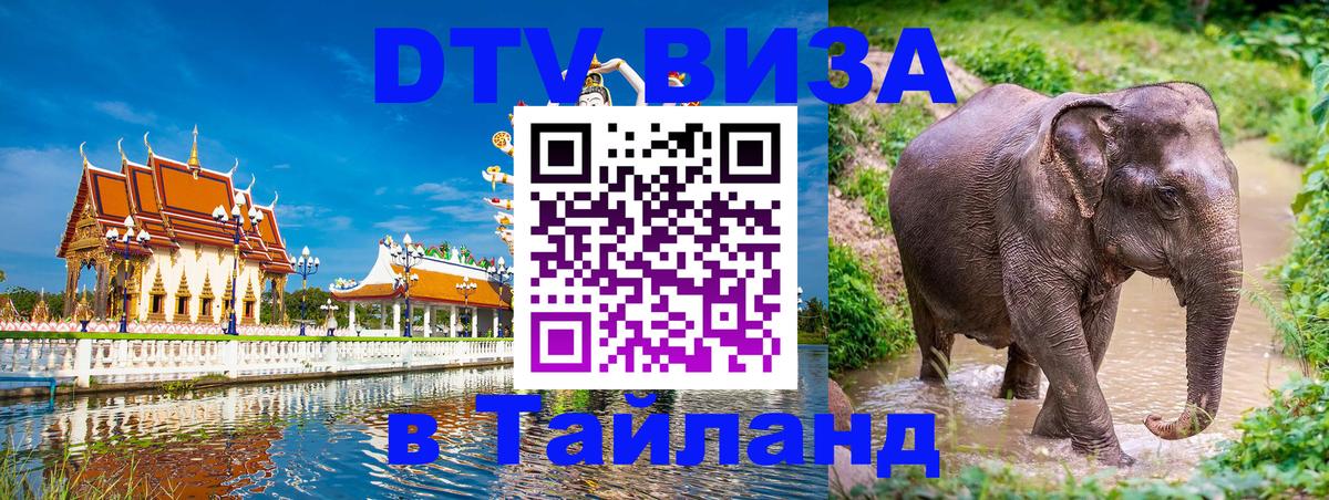 DTV Visa Тайланд купить 